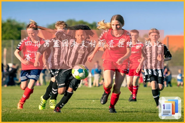 四川男篮因未支付薪资拒绝出场比赛！