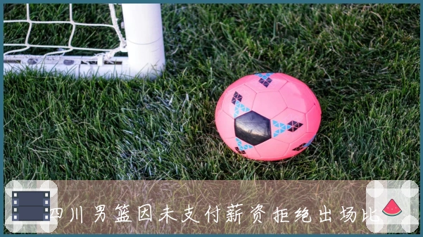 四川男篮因未支付薪资拒绝出场比赛！